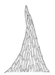 Pseudoscleropodium purum, apex of stem leaf. Drawn from A.J. Fife 9663, CHR 477633.
 Image: R.C. Wagstaff © Landcare Research 2019 CC BY 3.0 NZ